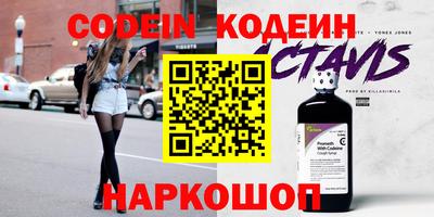 индика Шахты