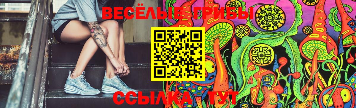 Галлюциногенные грибы Psilocybine cubensis Барнаул